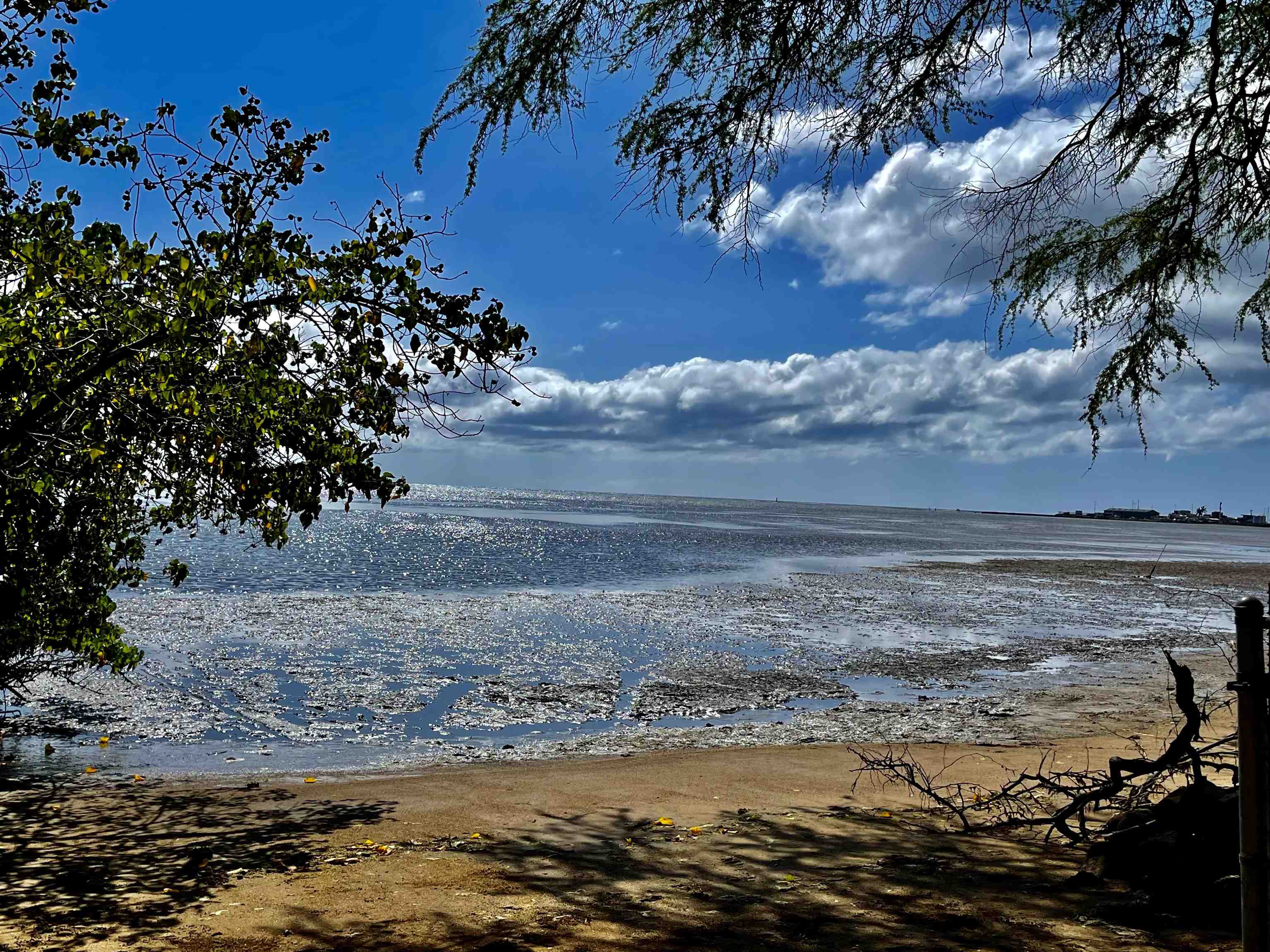 Maui Property Image