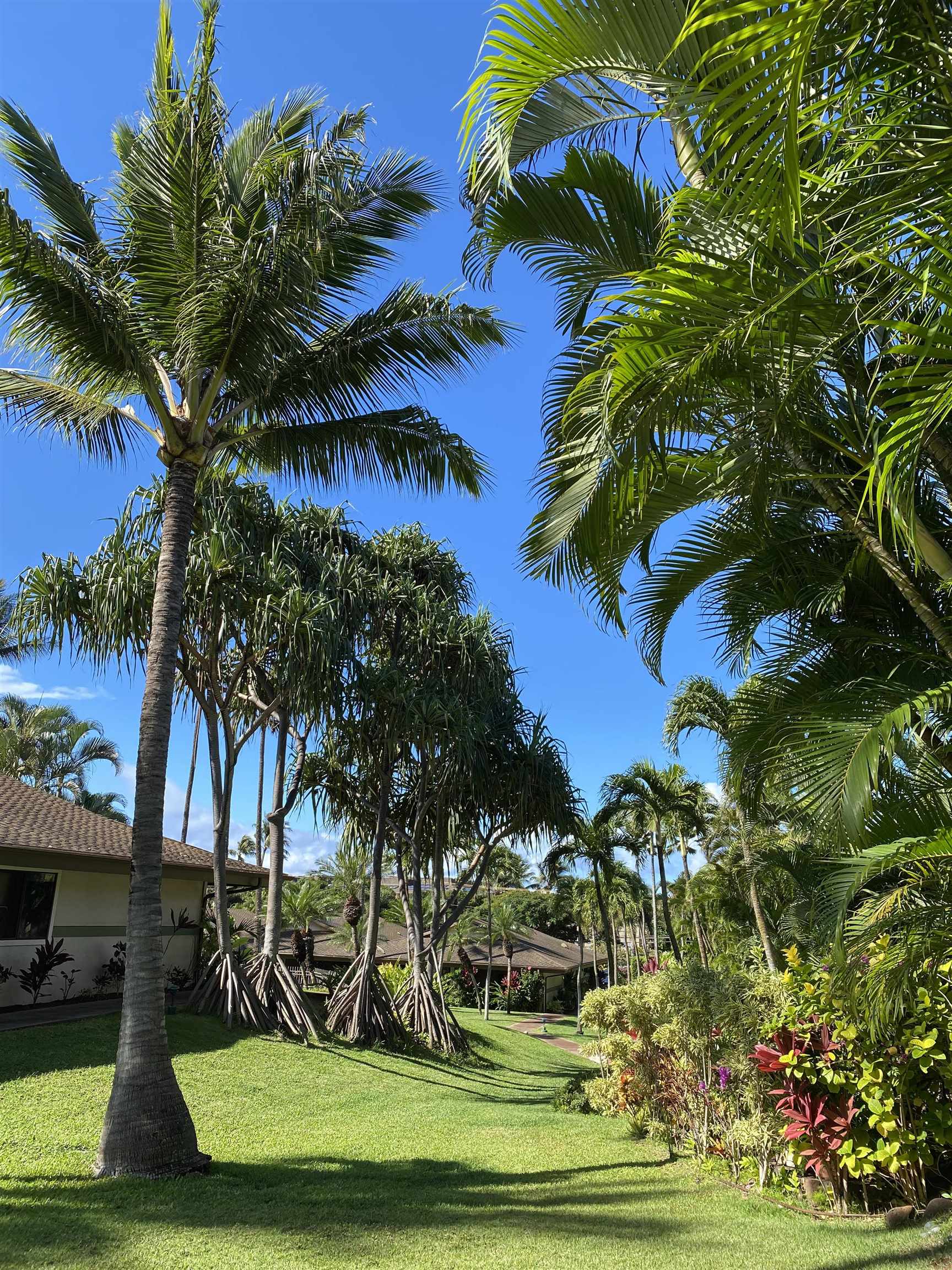 Maui Property Image