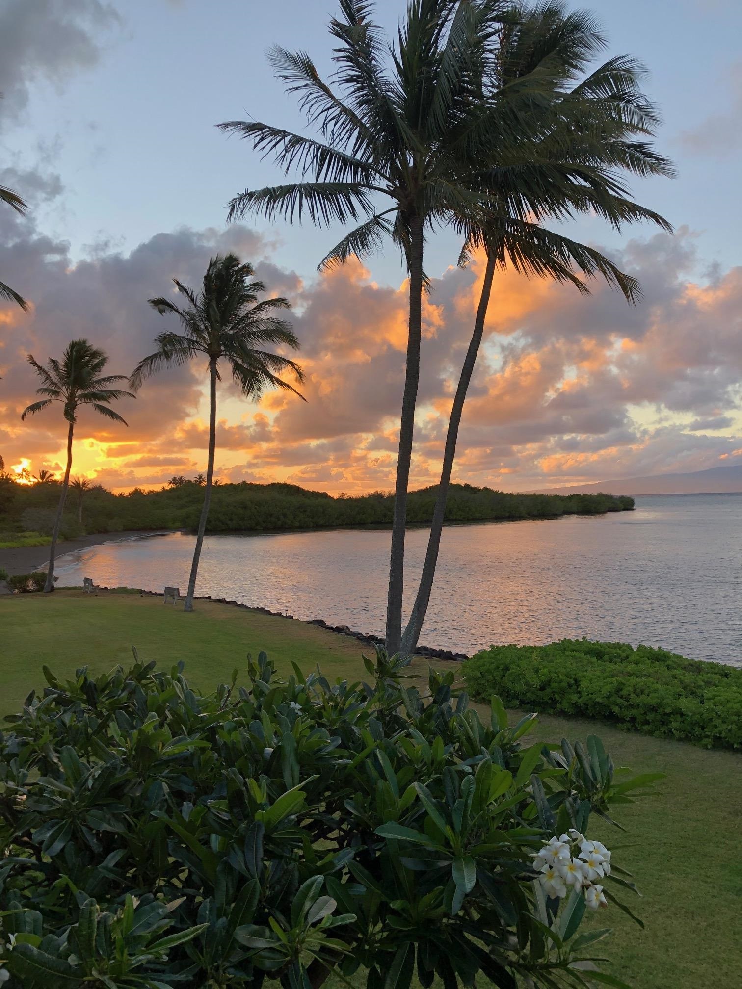 Maui Property Image