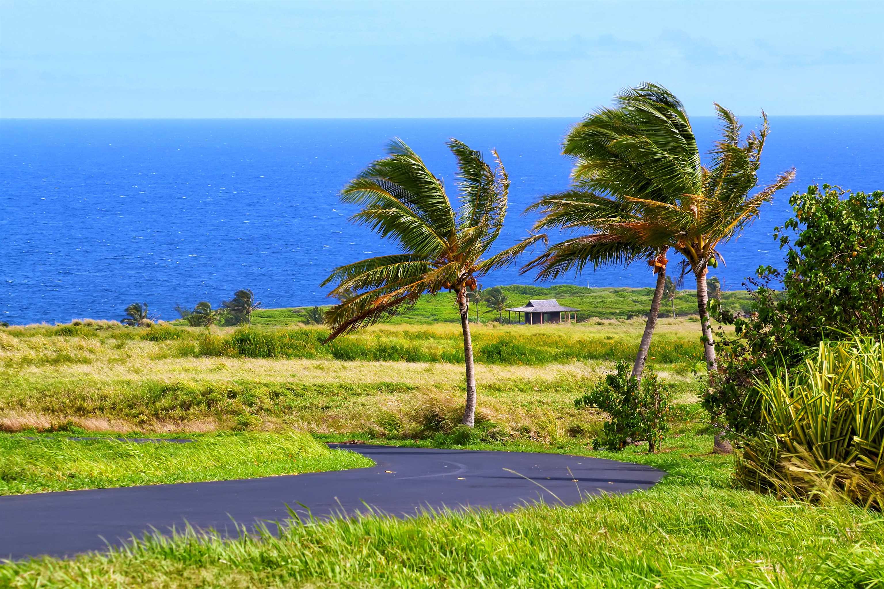 Maui Property Image