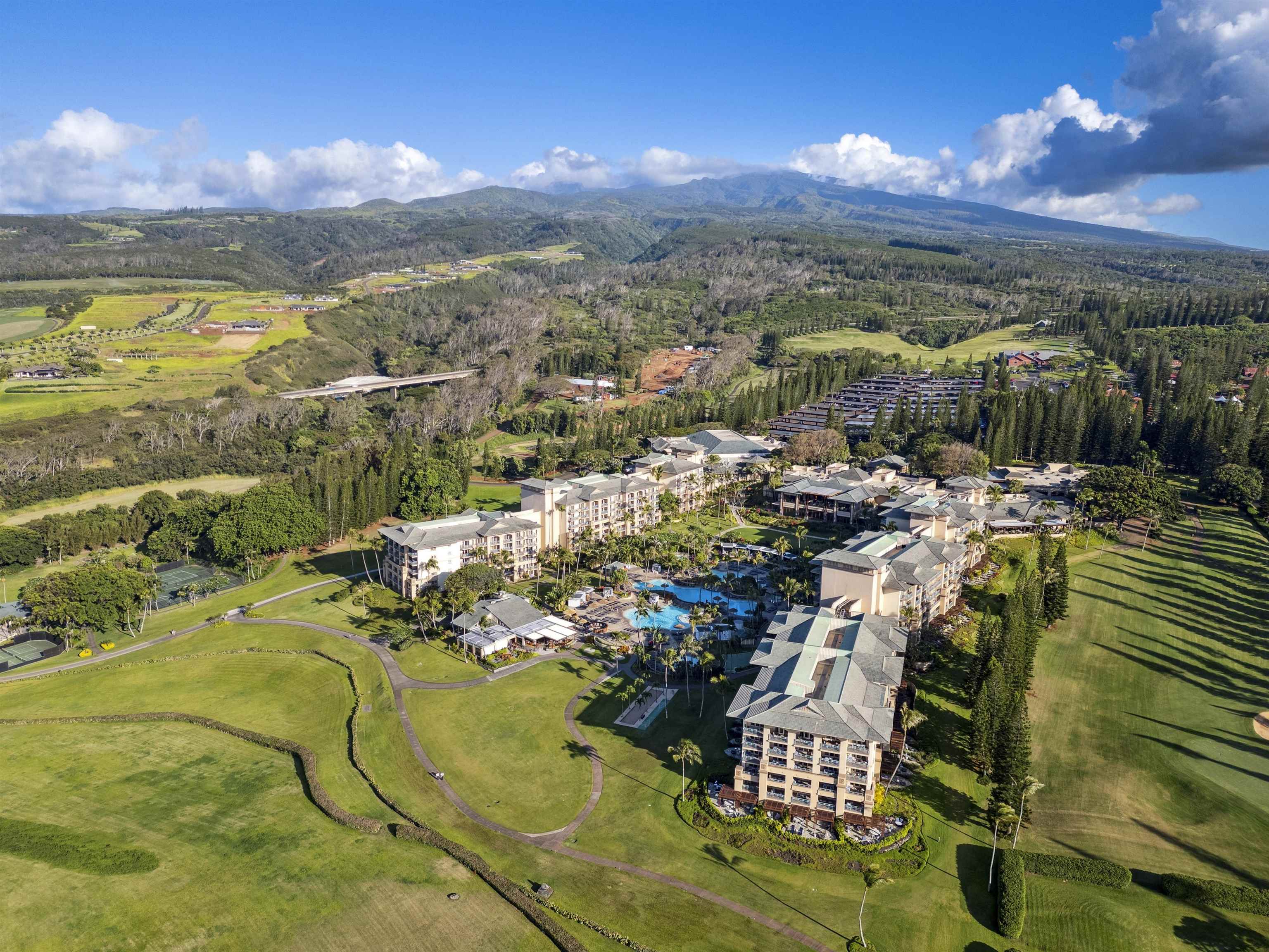 Maui Property Image