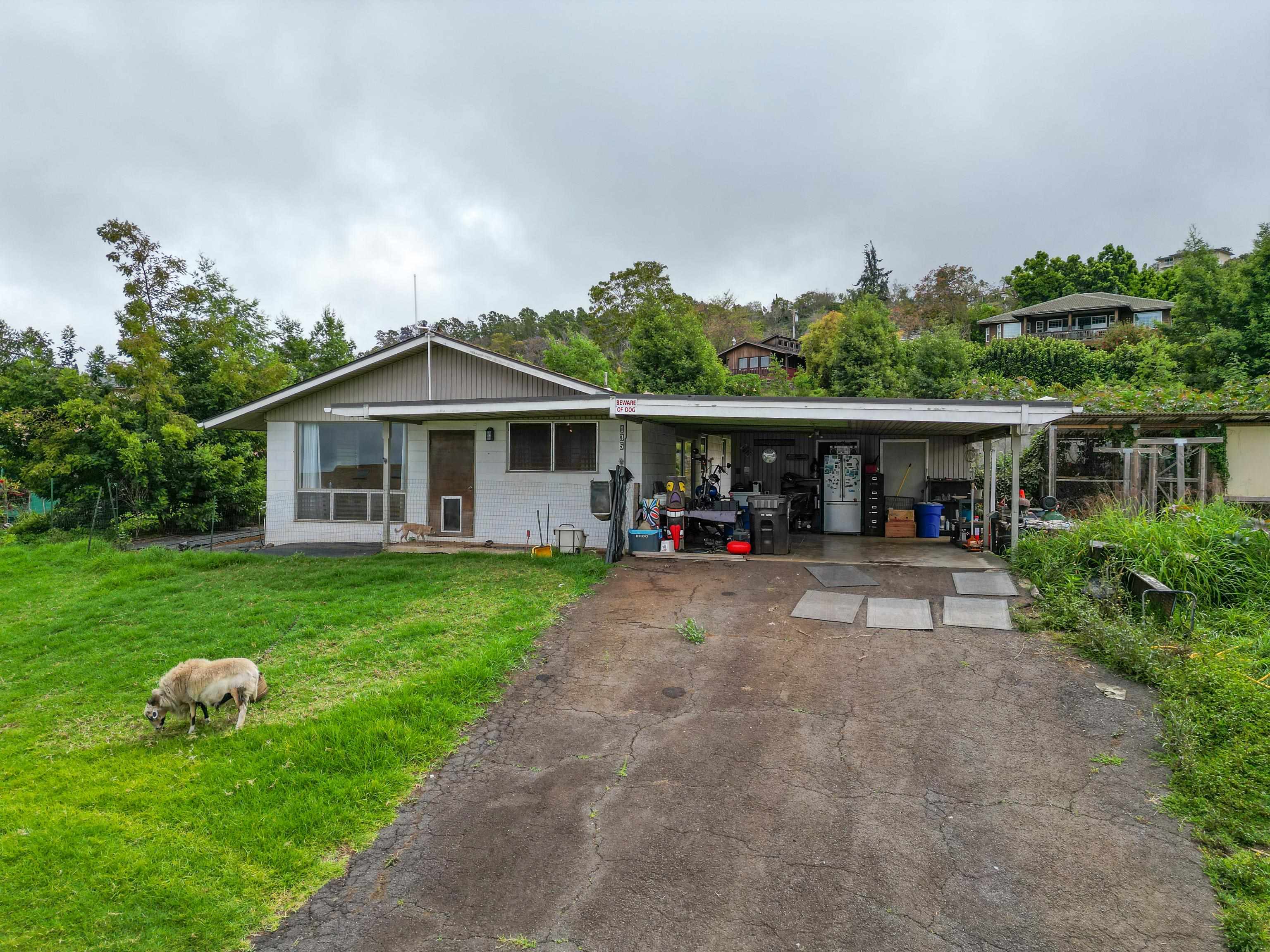 Maui Property Image