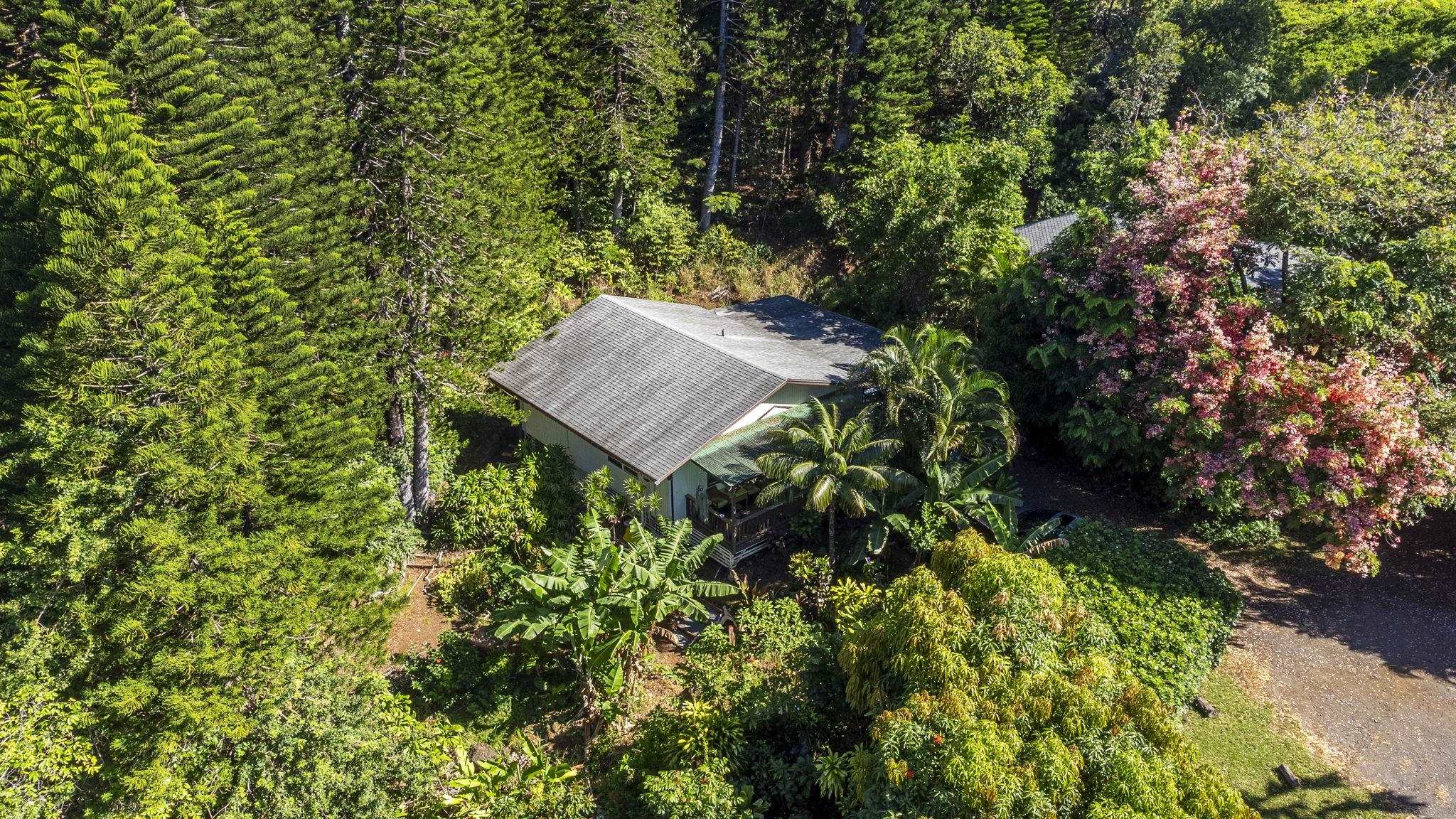 Maui Property Image