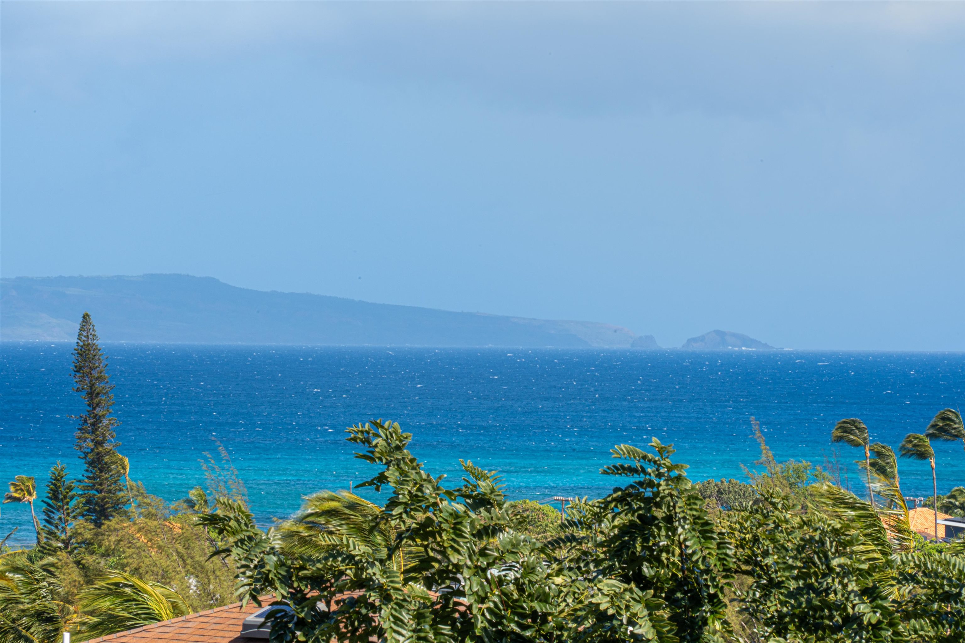 Maui Property Image