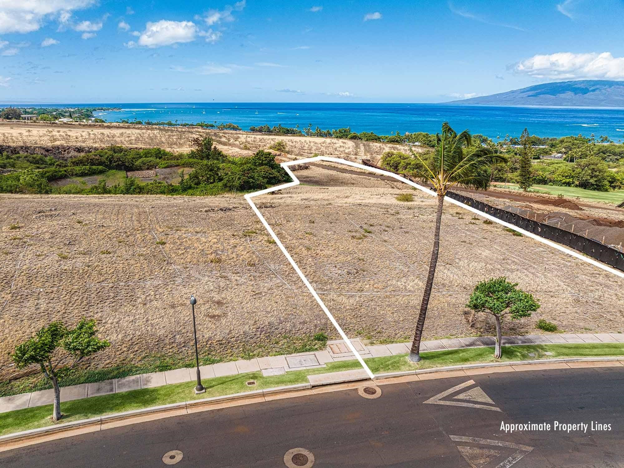 Maui Property Image