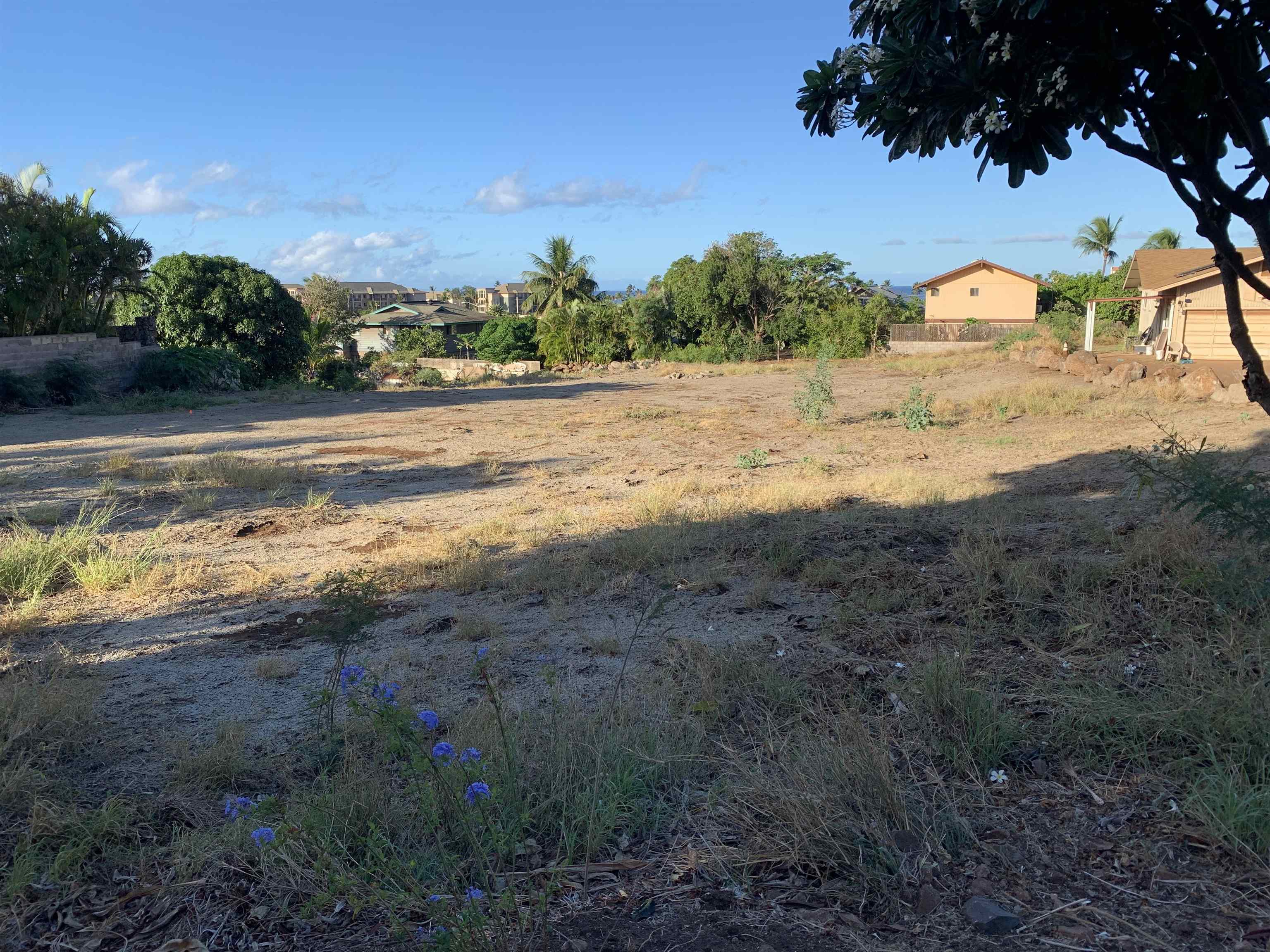 Maui Property Image