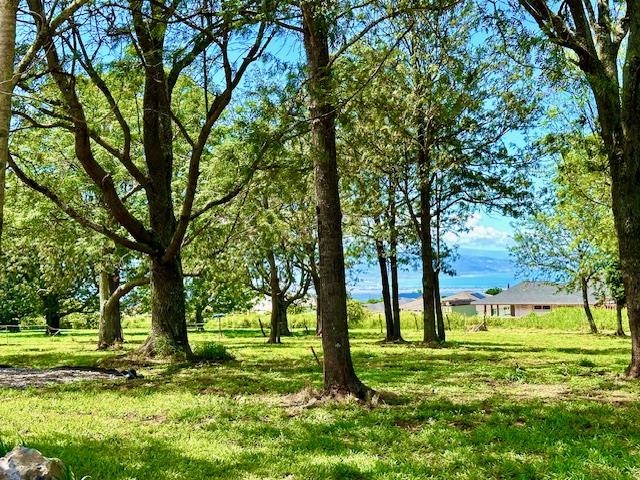 Maui Property Image