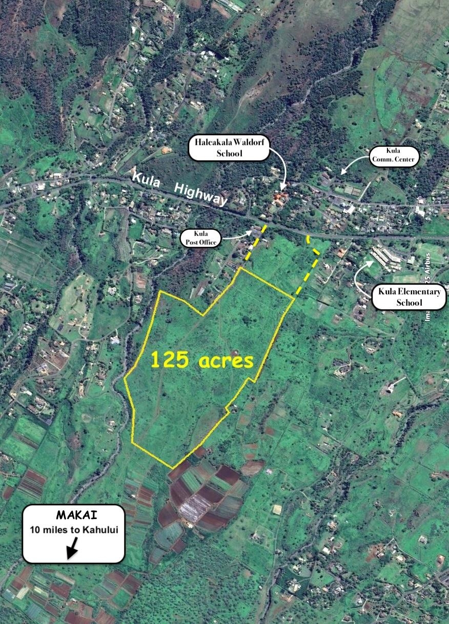 Maui Property Image
