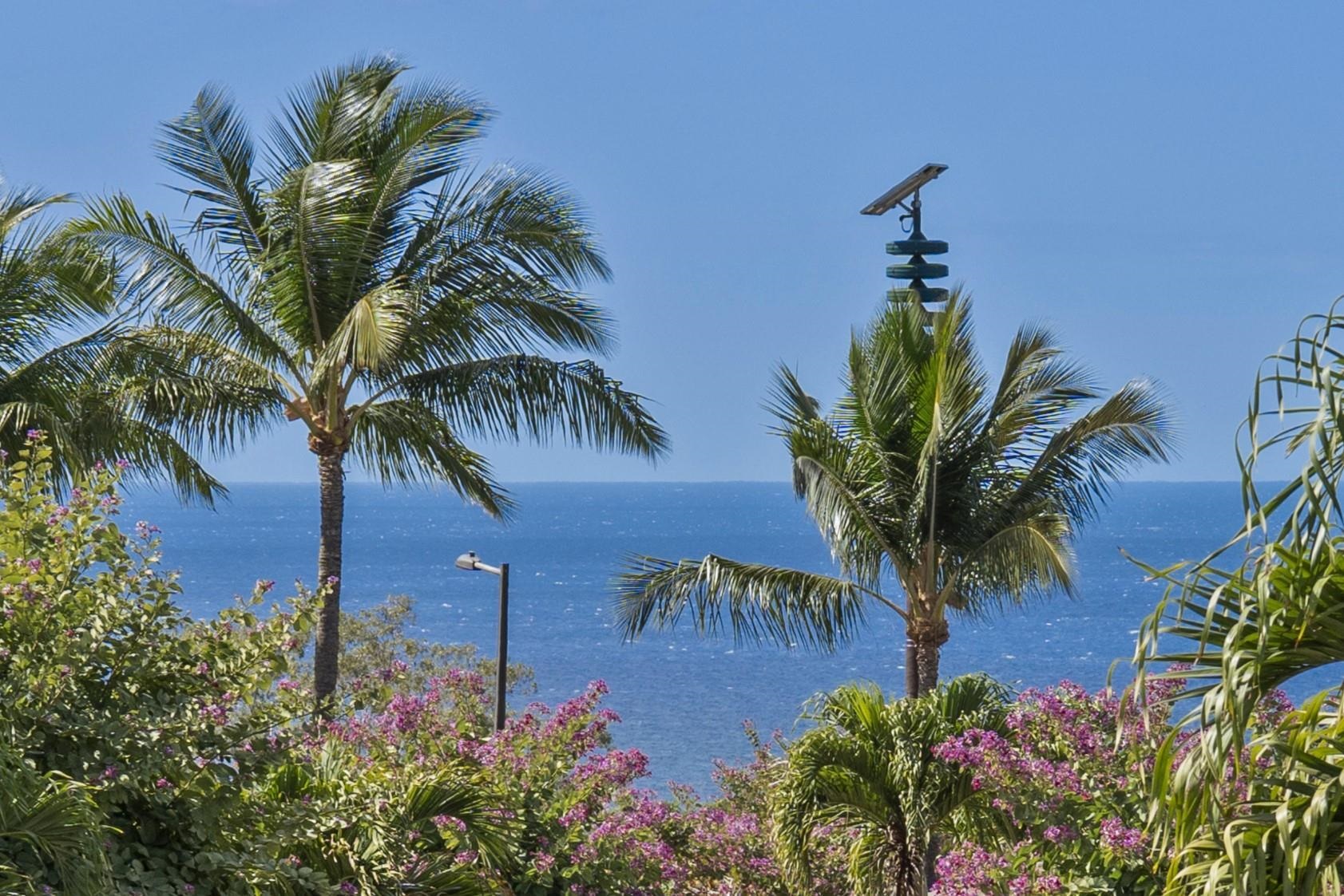 Maui Property Image