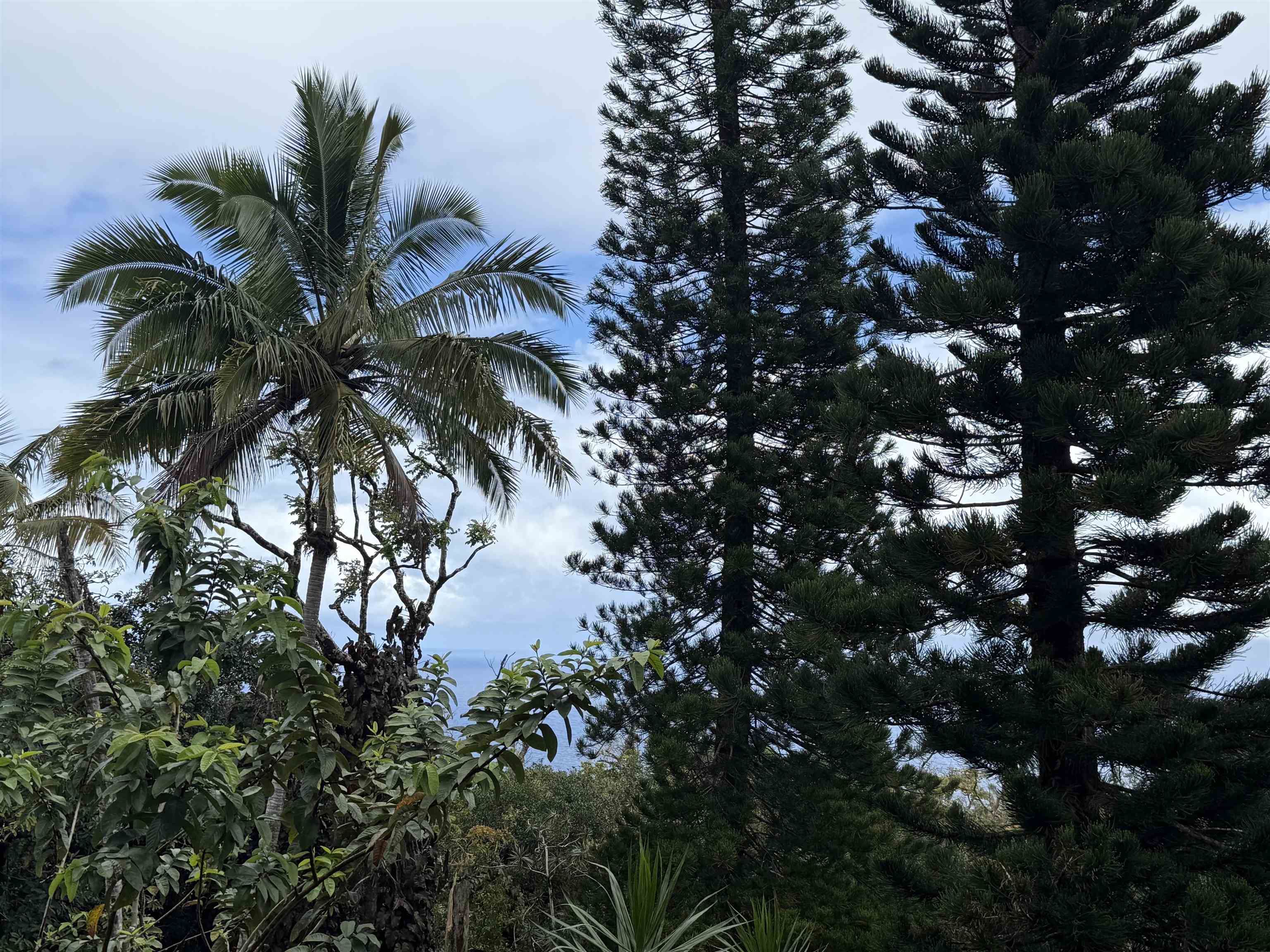 Maui Property Image