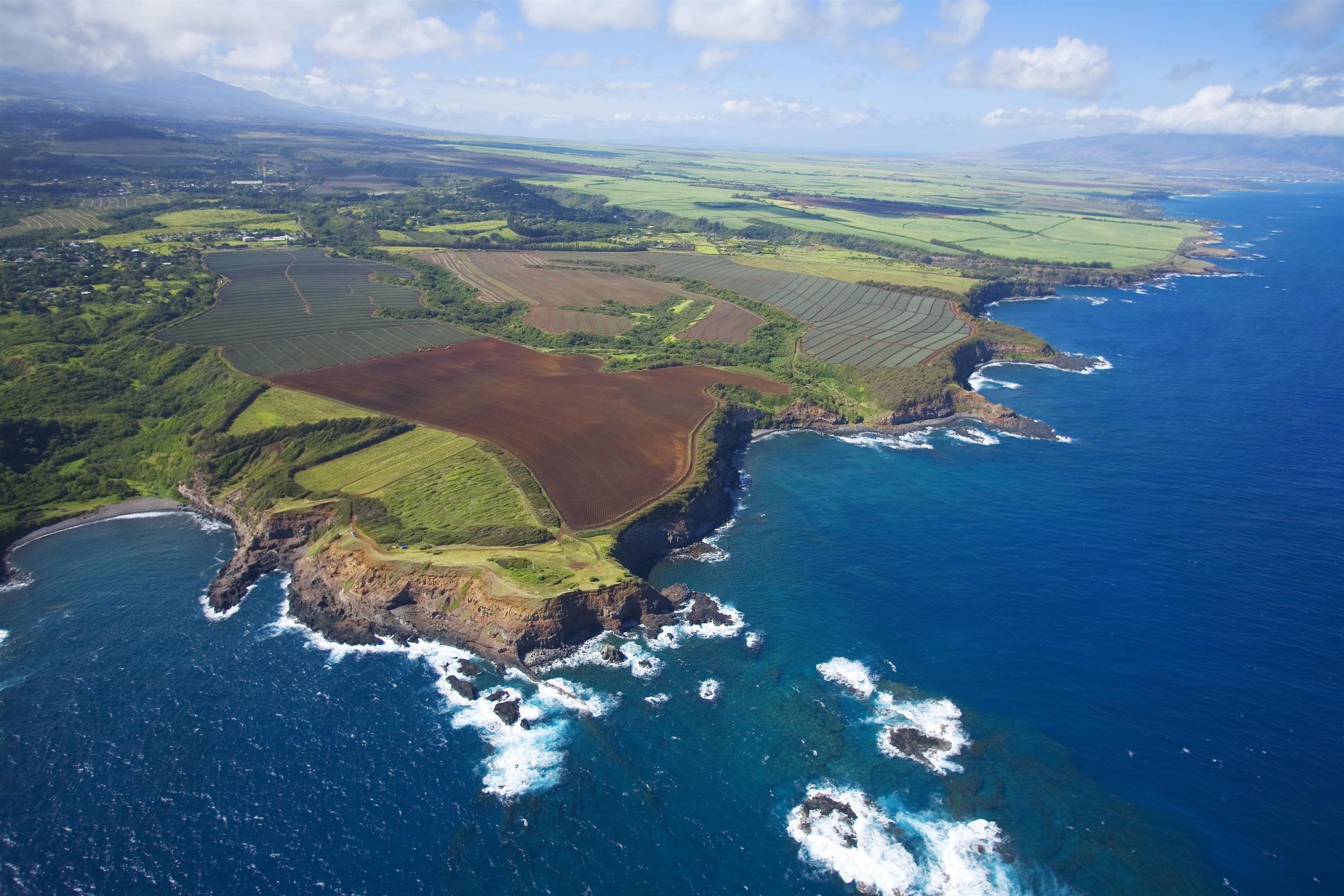 Maui Property Image