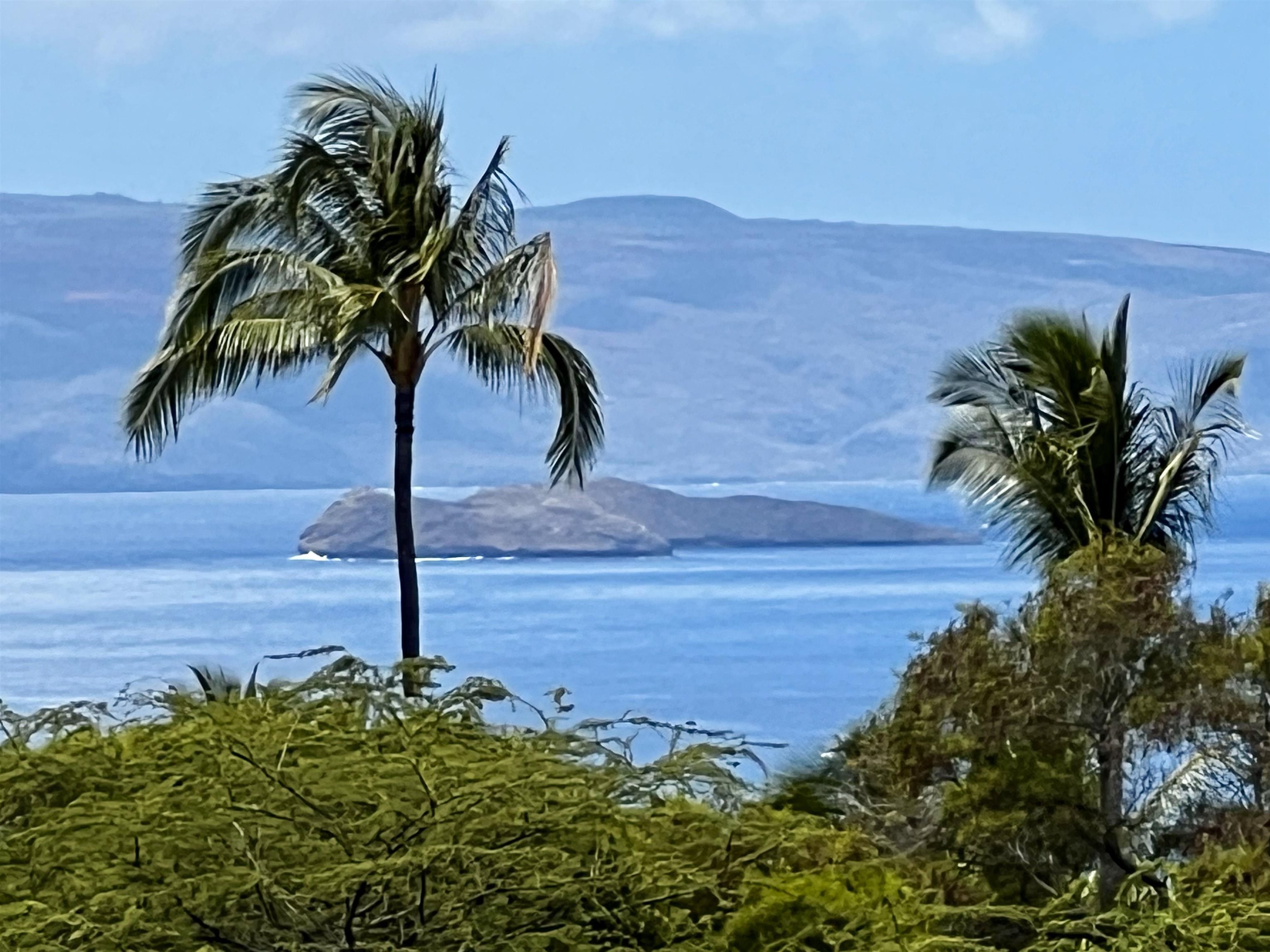 Maui Property Image
