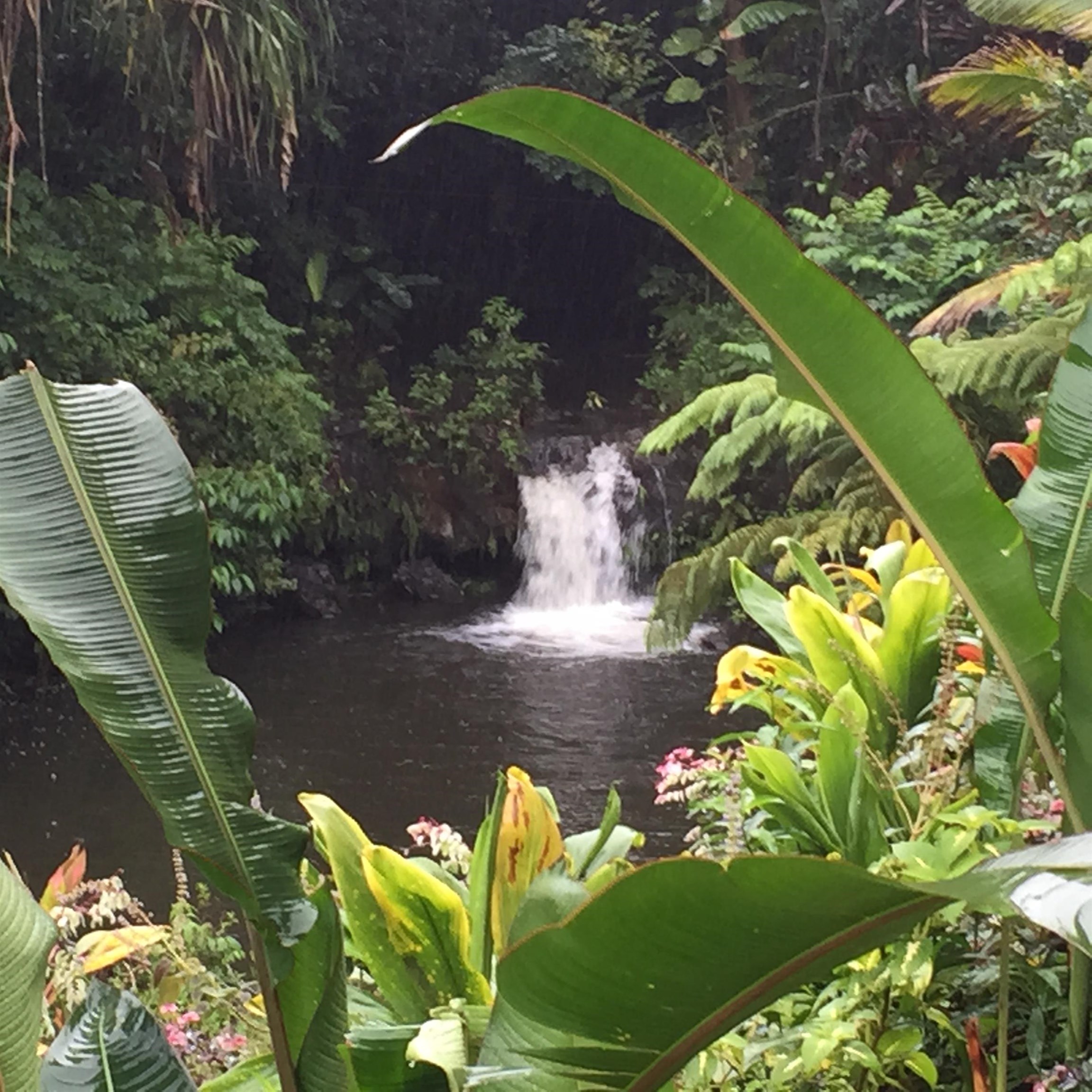 Maui Property Image