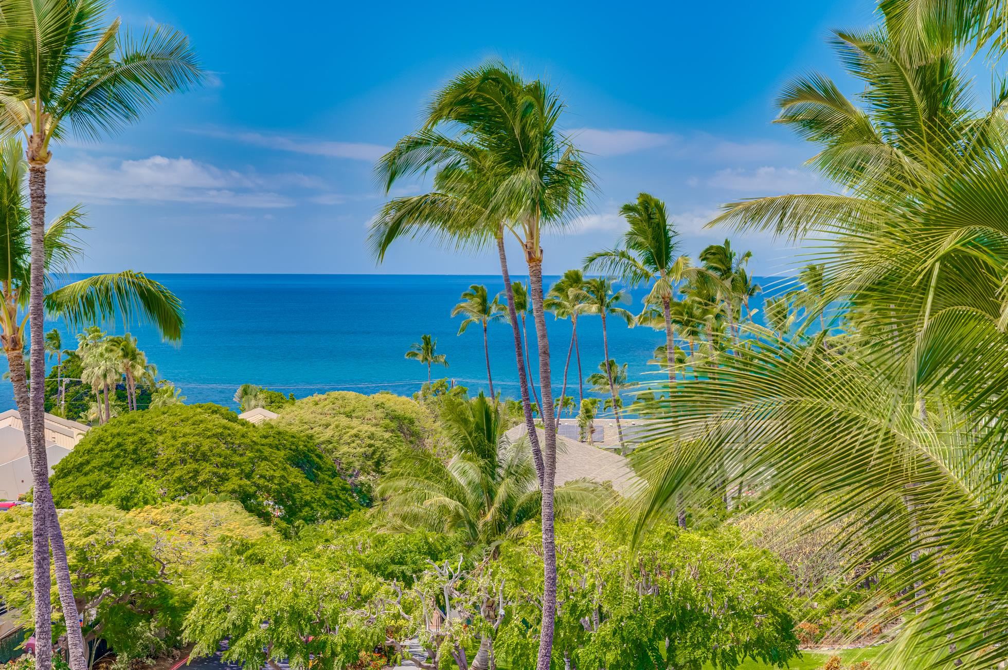 Maui Property Image