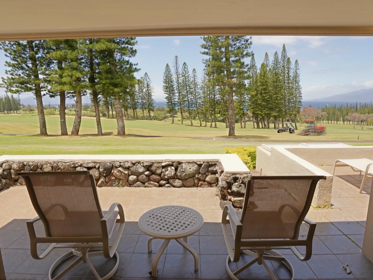 Maui Property Image