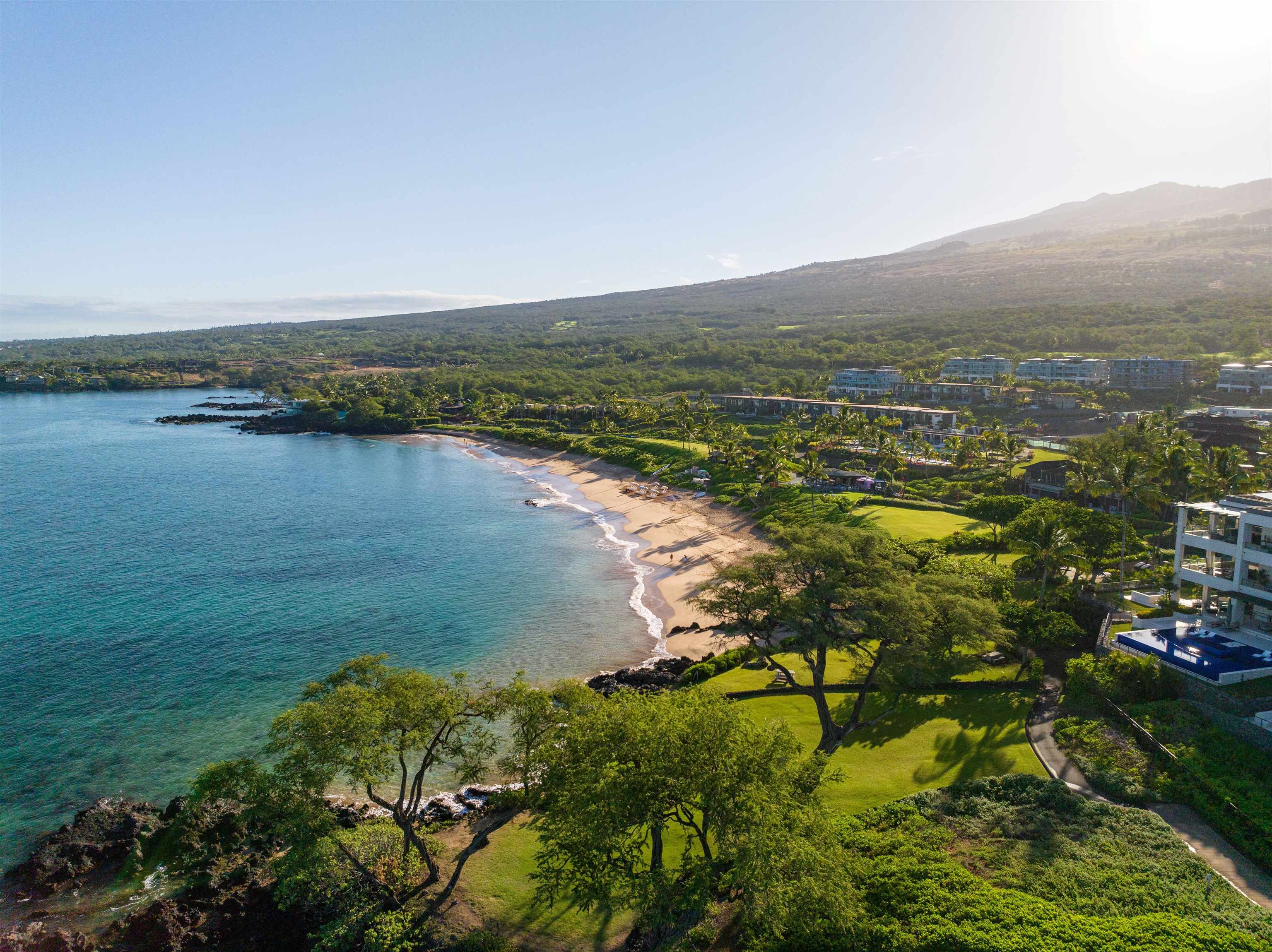 Maui Property Image