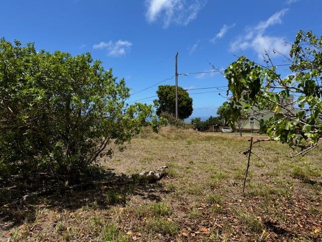 Maui Property Image
