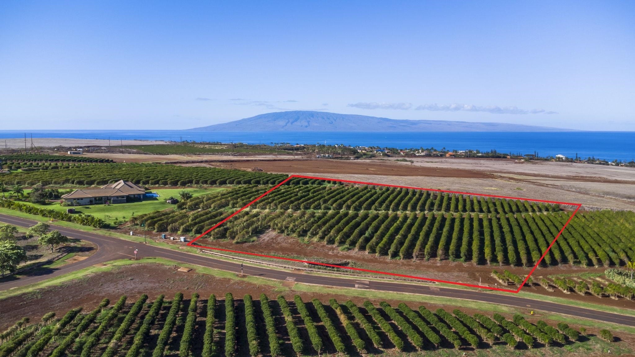 Maui Property Image