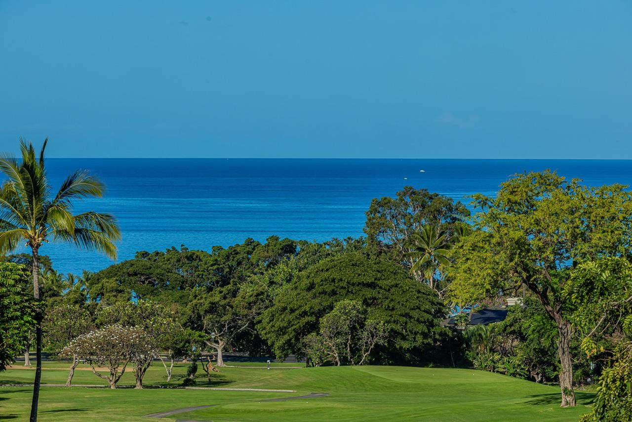 Maui Property Image