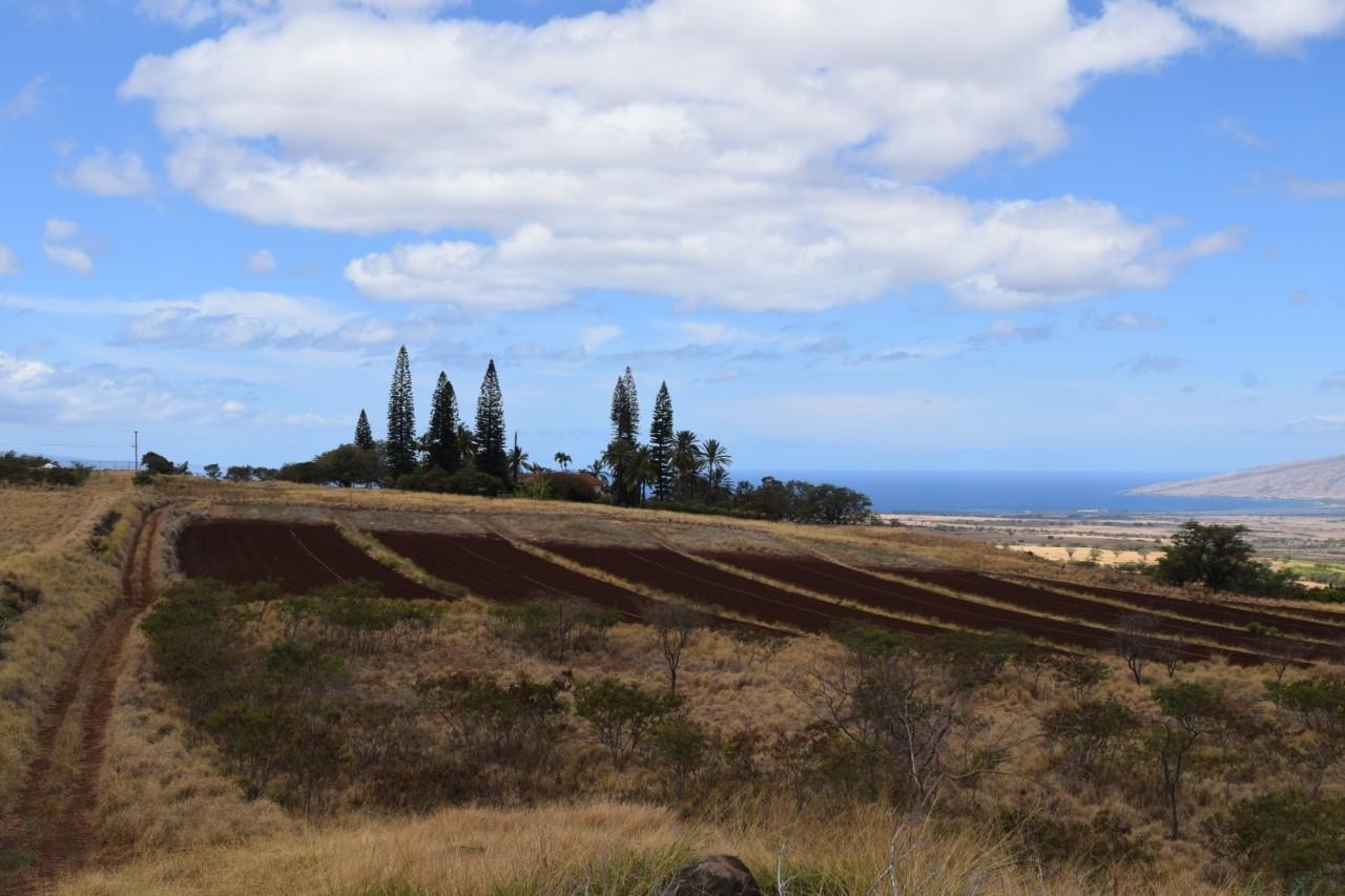 Maui Property Image
