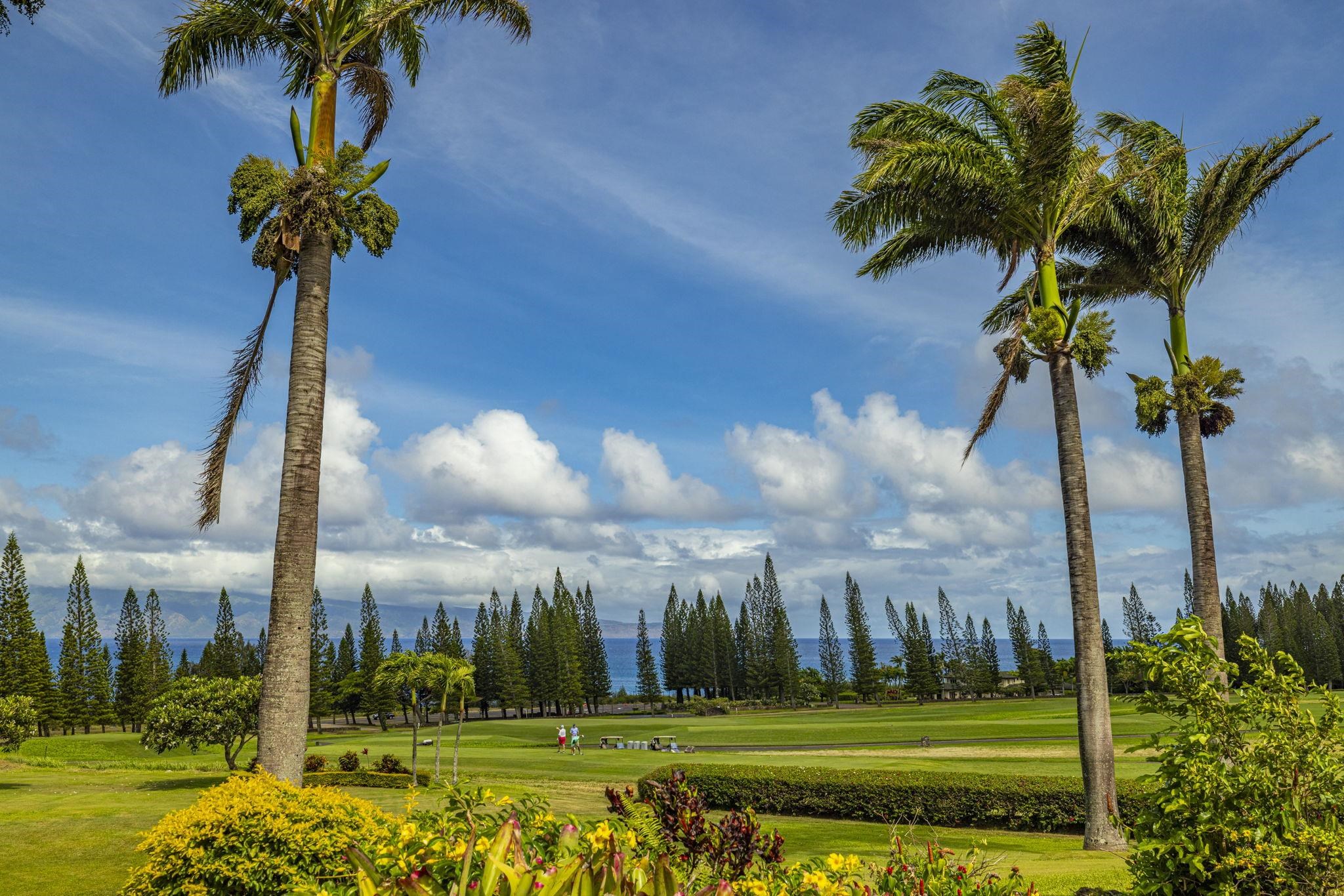 Maui Property Image