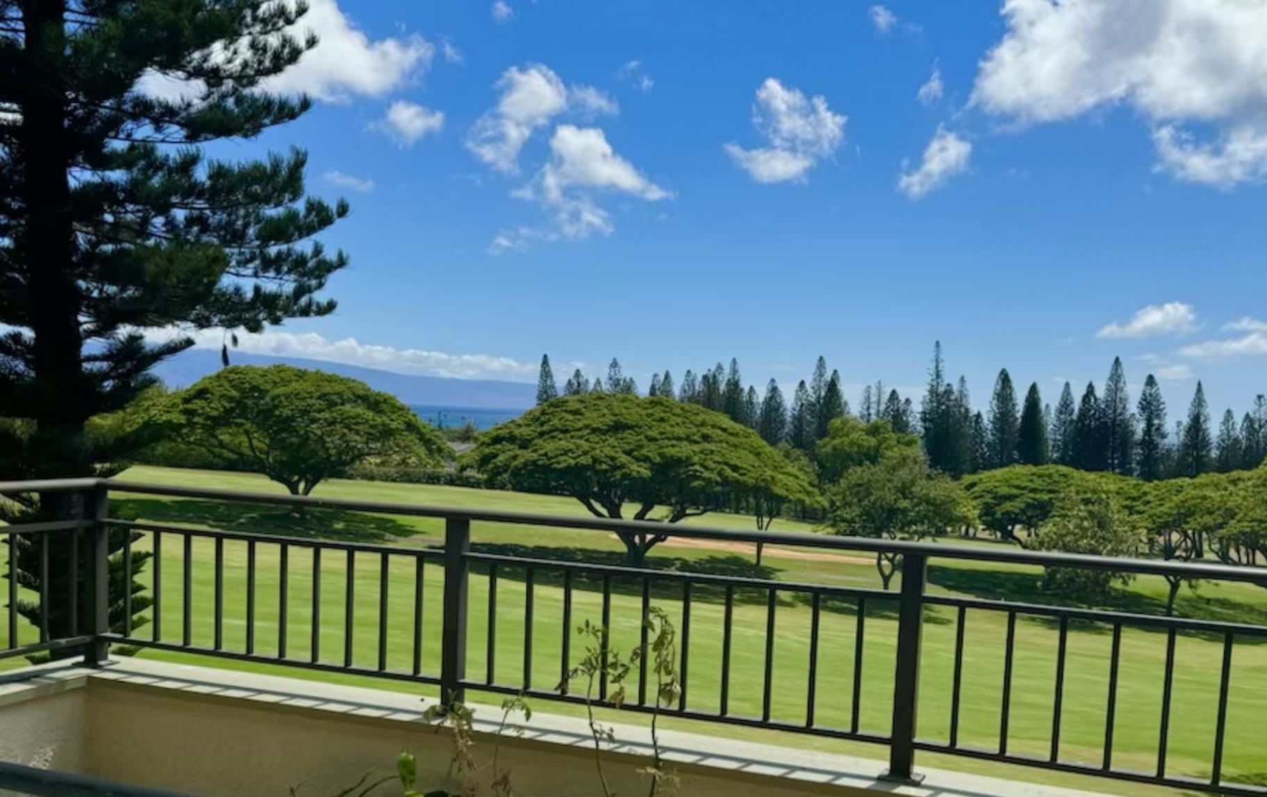 Maui Property Image
