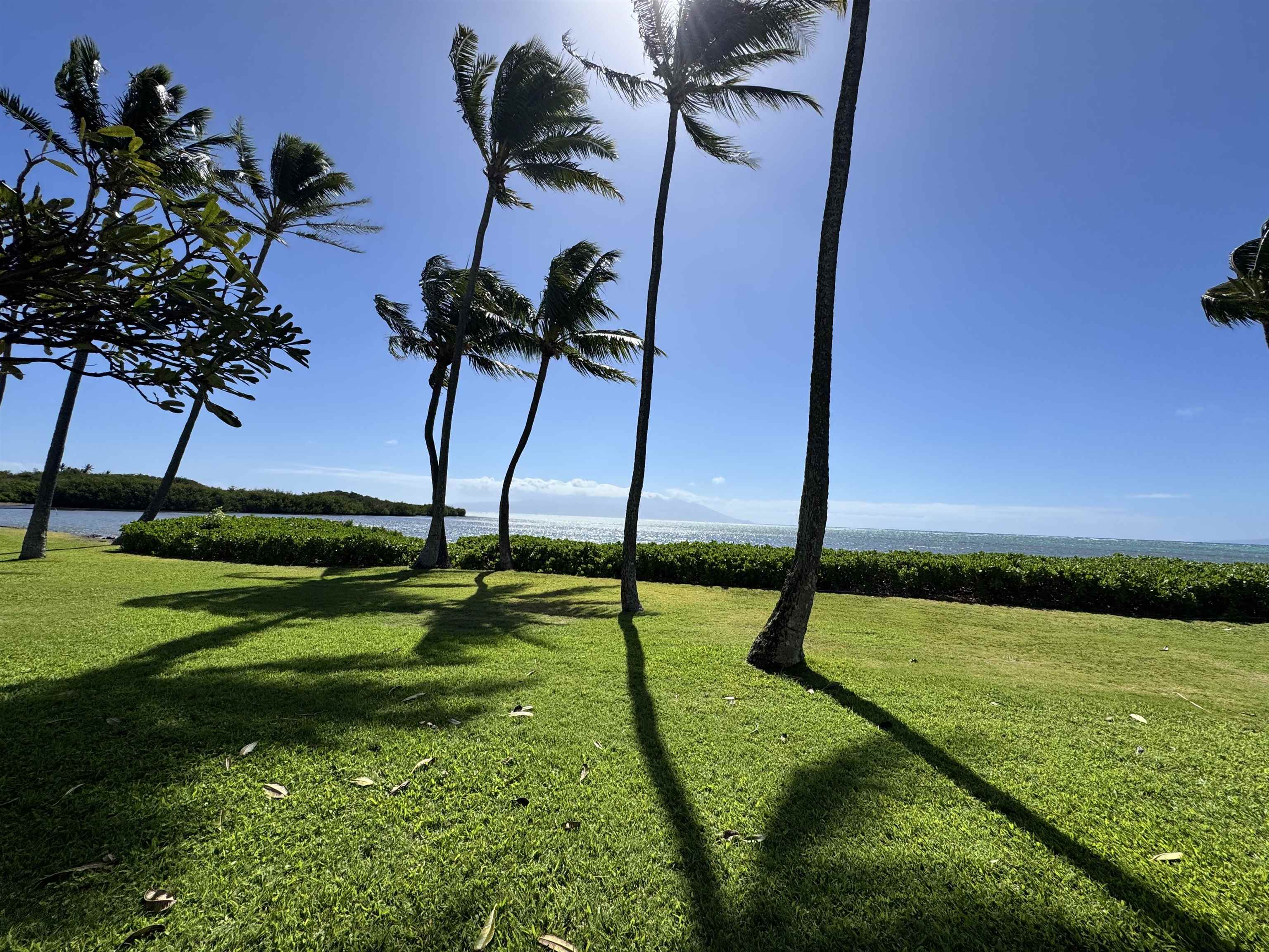 Maui Property Image