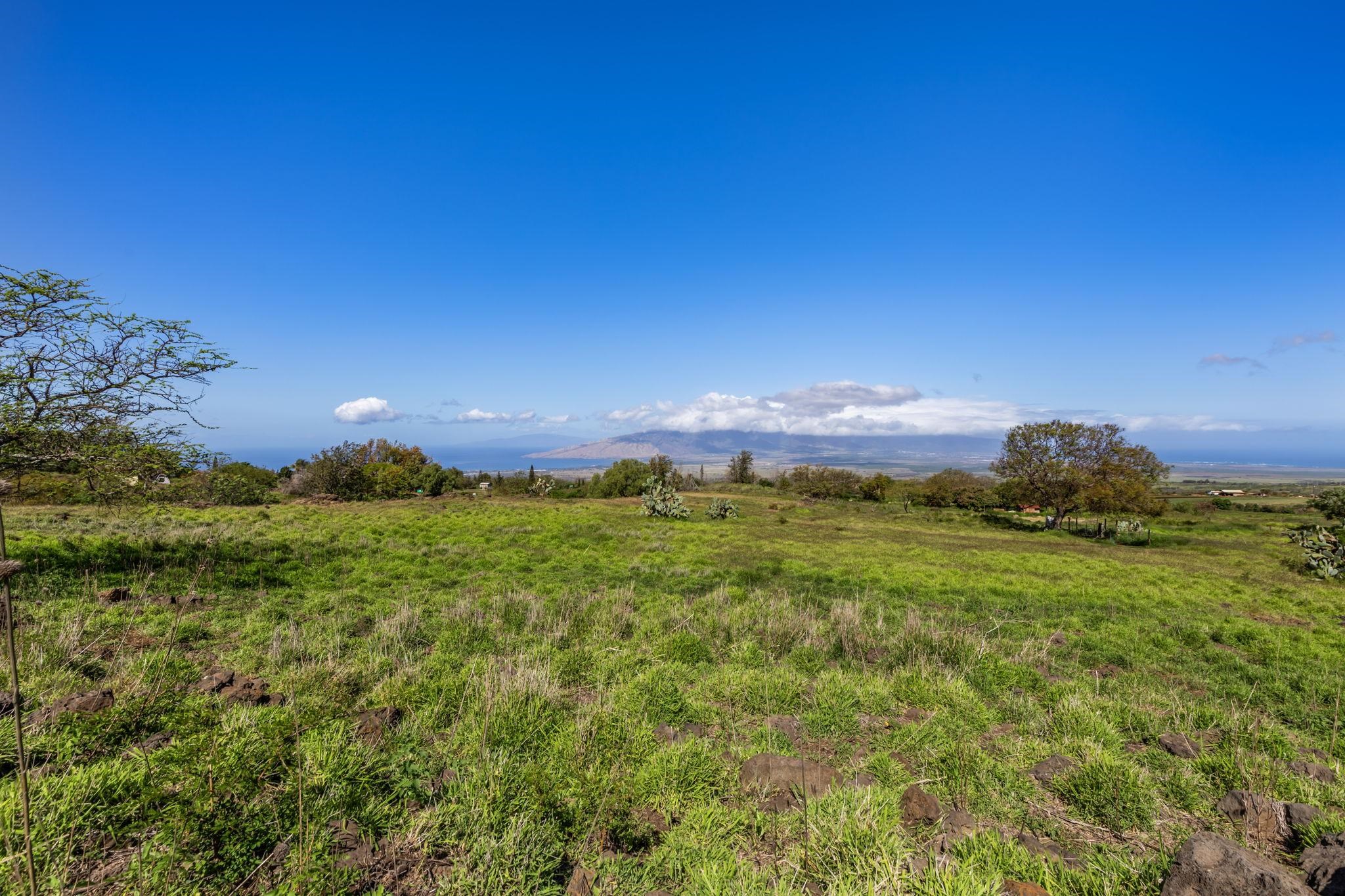 Maui Property Image