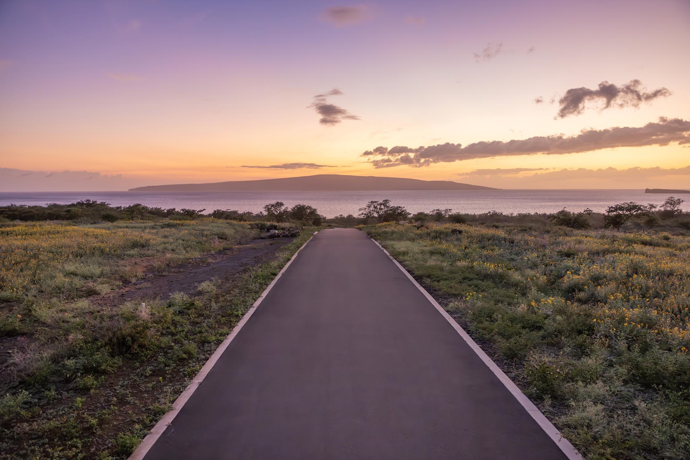 Maui Property Image
