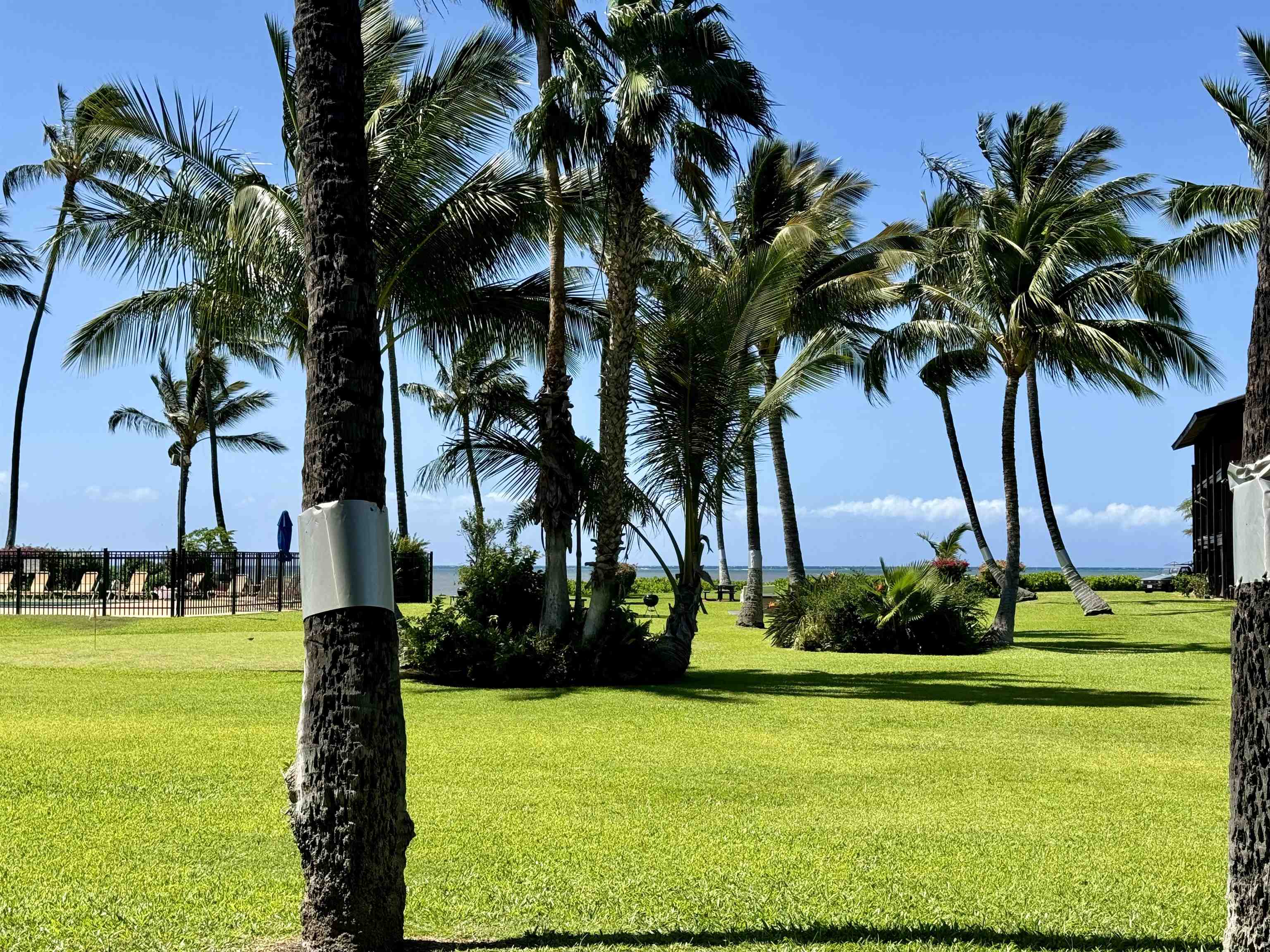 Maui Property Image