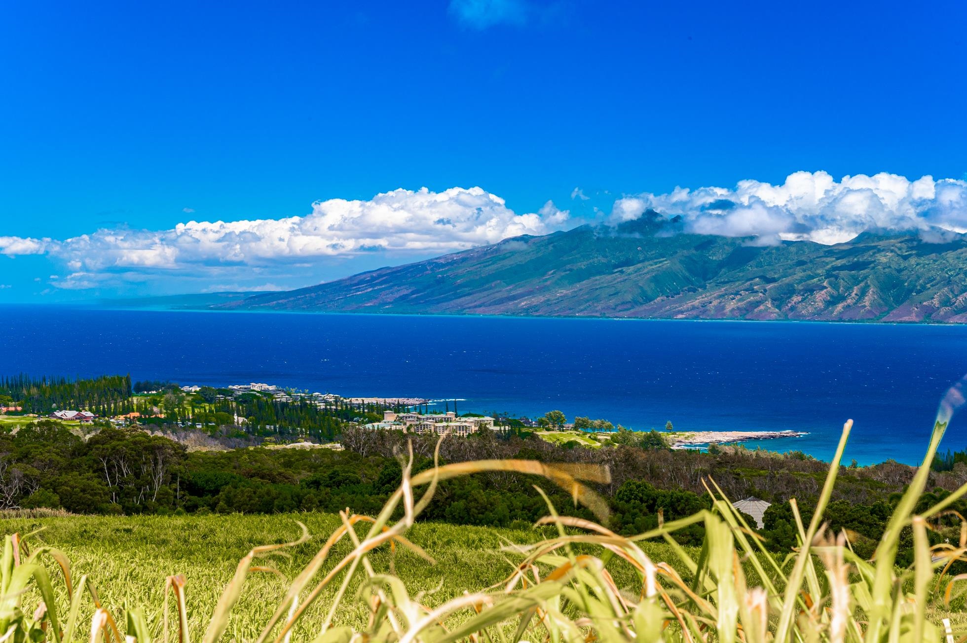 Maui Property Image