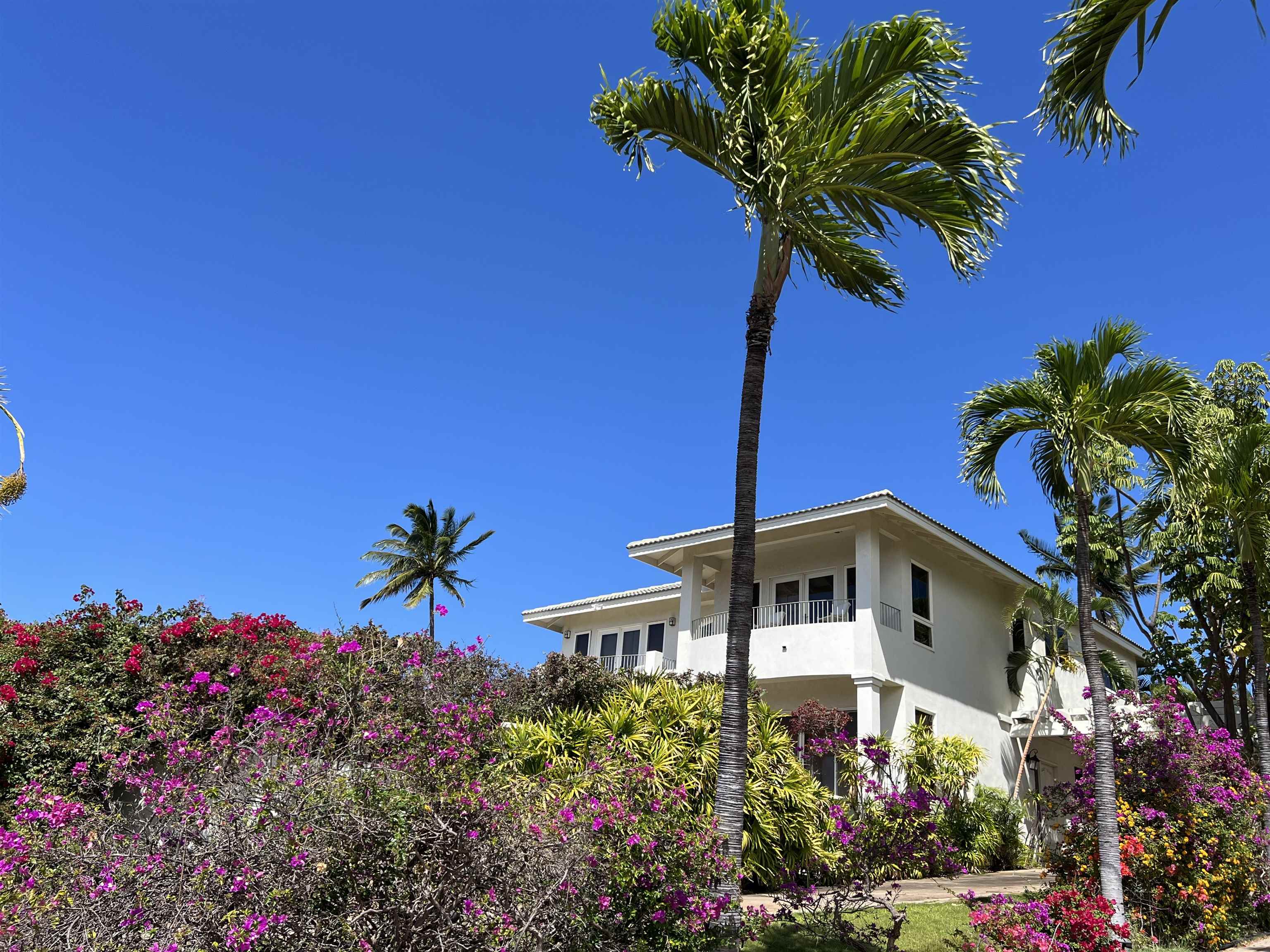 Maui Property Image