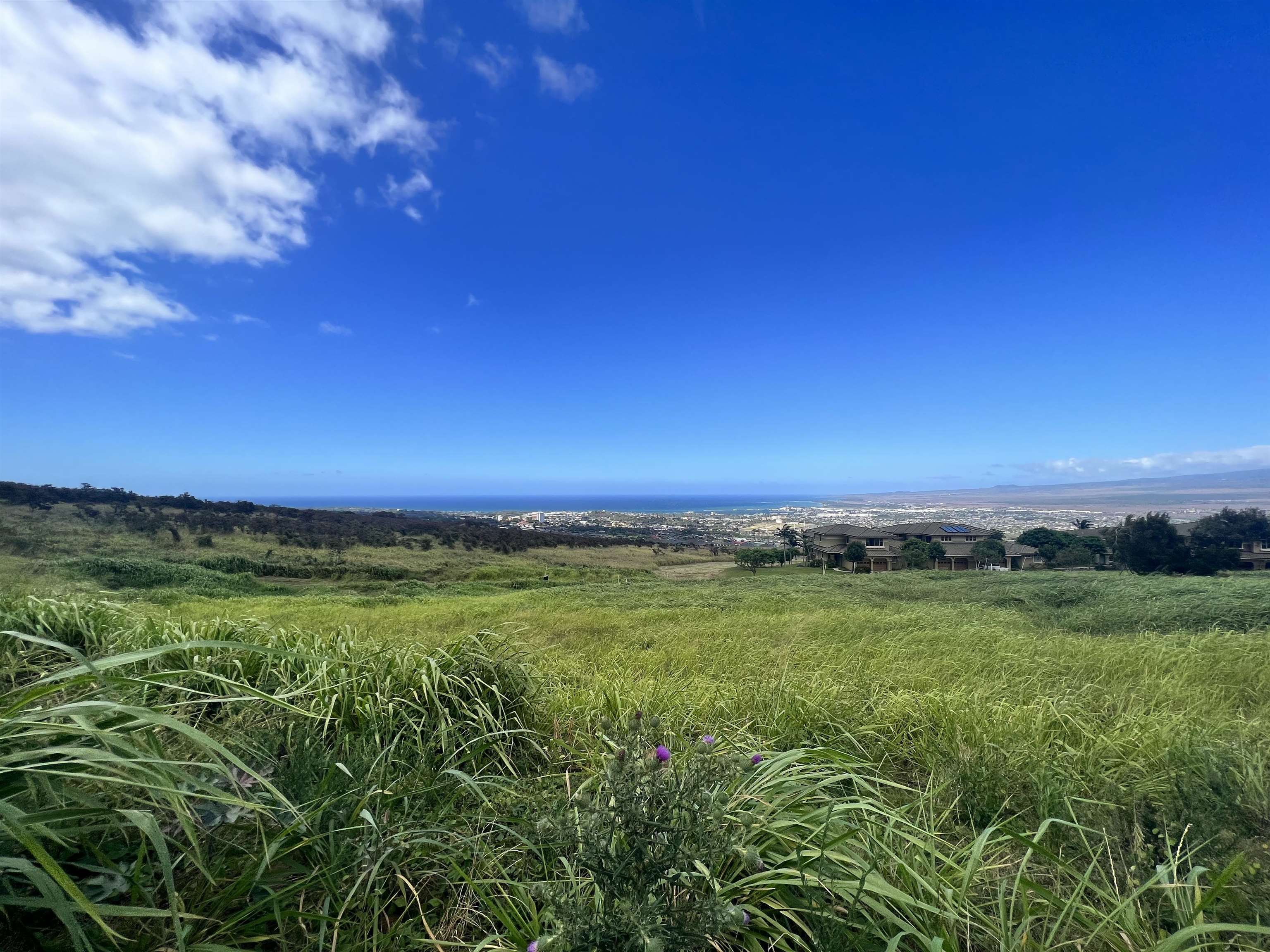 Maui Property Image